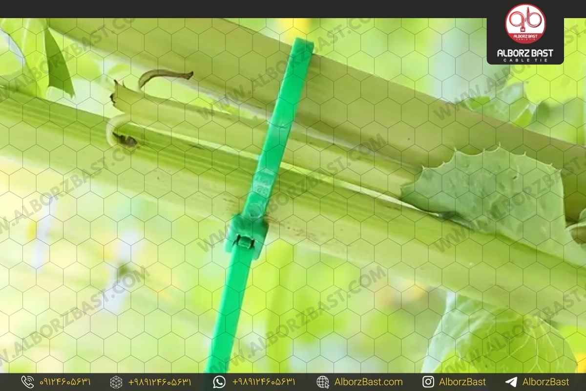 نقش بست های کمربندی( پلاستیکی) در حفظ محیط زیست